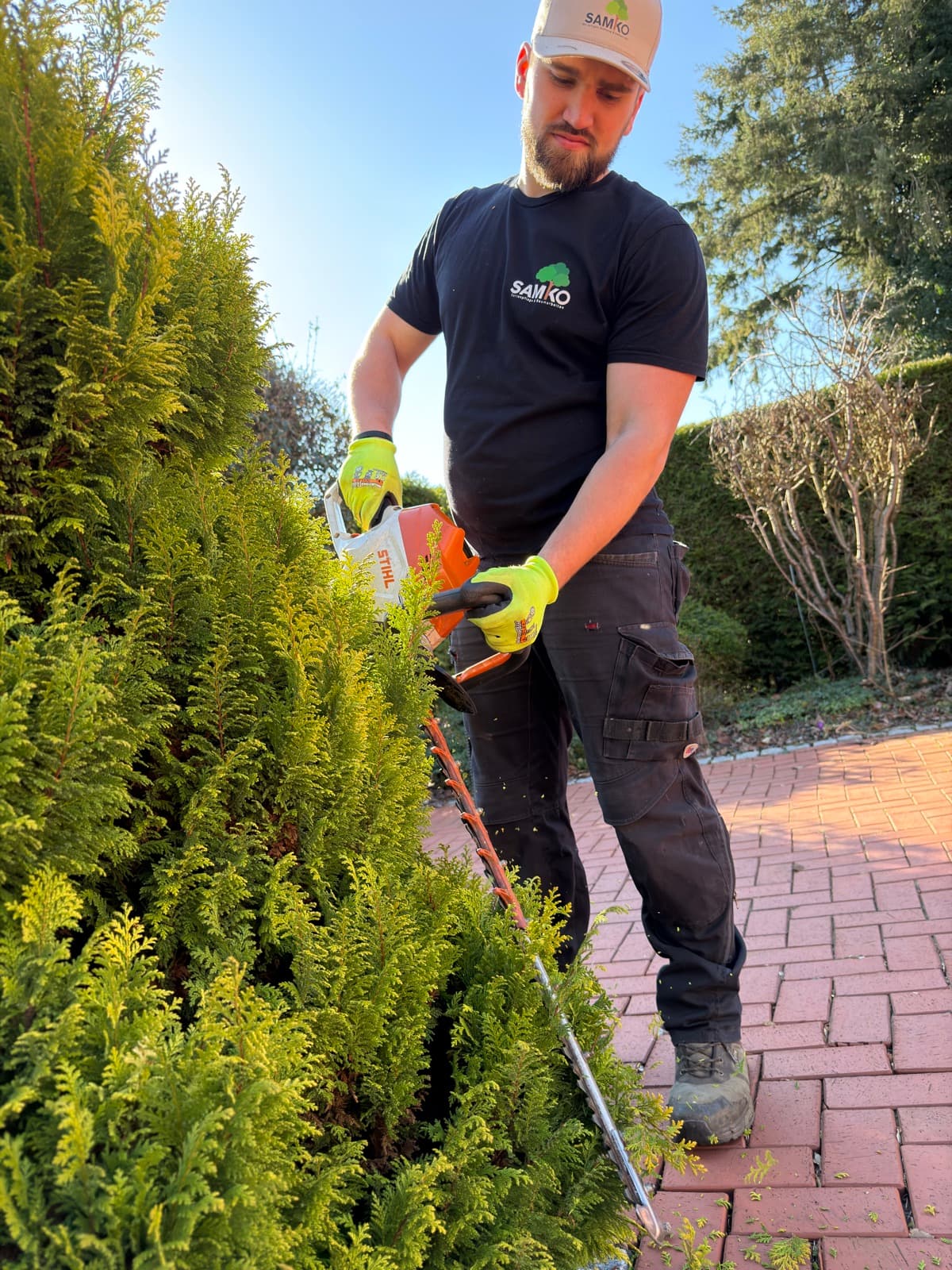 SAMKO-Mitarbeiter schneidet eine Thuja-Hecke mit der Heckenschere
